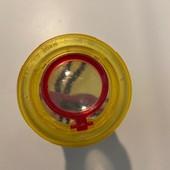 昆虫観察ボックス　トリプルの画像