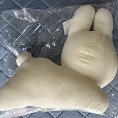 ブルーナくじ　ラストワン賞の画像