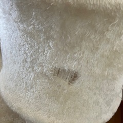 キャットタワーの画像