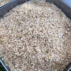 もみ殻　（自家栽培米キヌヒカリ）　畑・家庭菜園等にの画像