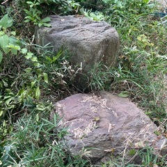 大きい庭石たくさんもらってくださいの画像