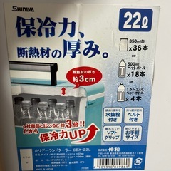 SHINHWA クーラーボックス　22L ホワイト　保冷　の画像