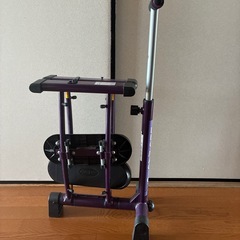 レッグマシンの画像