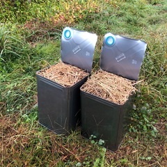  切りわら　藁　ワラ  敷きわらにの画像