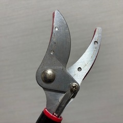 高枝切りばさみの画像