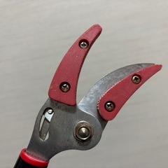 高枝切りばさみの画像