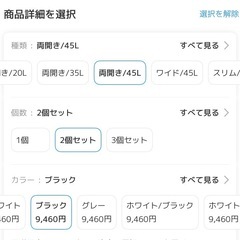 SOLOW ソロウ　ごみ箱　ブラック　両開き　45L 2個セットの画像