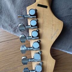 グラスルーツ　滝　善充モデルストキャスの画像