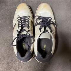 新品未使用 イーグルアイ 25.5の画像