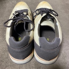 新品未使用 イーグルアイ 25.5の画像