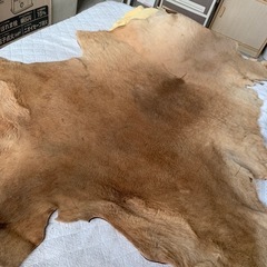 毛皮の画像