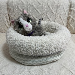 ペットベッド　の画像