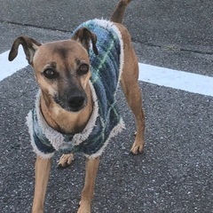 優しい画像を探してます