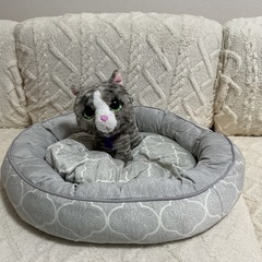 ペットベッドの画像