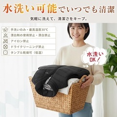 新品未使用 電熱ベスト【26箇所発熱・4区独立制御】ヒーターベスト DC/USB給電 3段階温度調整 急速発熱 防寒対策の画像