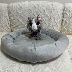 ペットベッド　ニトリの画像