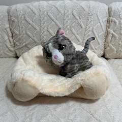 ペットベッドの画像