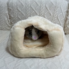 ペットベッドの画像