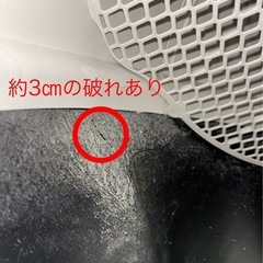 自動猫トイレ：litter-robot3  ネコトイレの画像