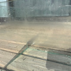 GEX スリム水槽60cmの画像