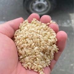 令和7年産きぬむすめ　玄米30kg19800円🌾の画像