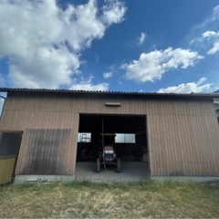 令和7年産きぬむすめ　玄米30kg19800円🌾の画像