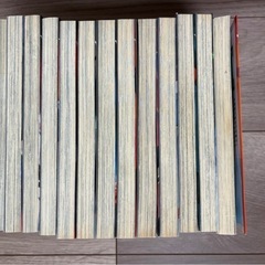 エヴァンゲリオン  漫画の画像