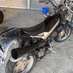 ストリートマジック50 初期ライブDioaf35規制前
の画像