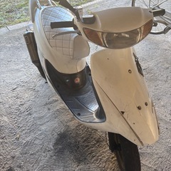 ストリートマジック50 初期ライブDioaf35規制前
の画像