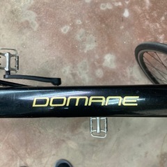 Trek Domane AL 2 Rim
 の画像