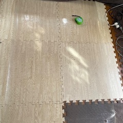 ジャンク- テーブルクロス ビニール 透明の画像