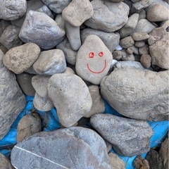 庭の池作りの為の石を探していますの画像
