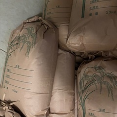 令和７年産　玄米30kg お米（あさひの夢）の画像