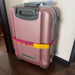 【決まりました】
キャリーケースの画像