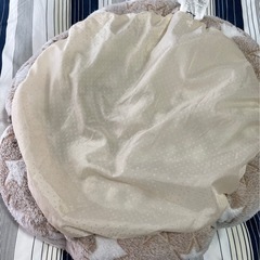 ペット用クッションの画像