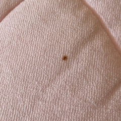 夏布団②の画像