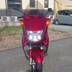 希少車.フォーサイト250.好調.ピカピカ.始動動画（マジェスティ.スカイウェイブ.フォルツァ.マグザム）の画像