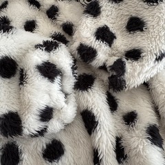 101匹わんちゃん 2着セット ベビー服の画像