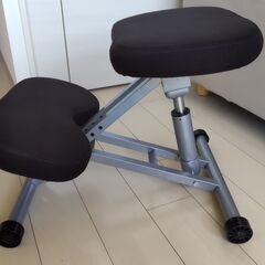 サンワサプライ バランスチェア 100-SNC038の画像