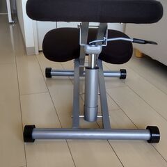 サンワサプライ バランスチェア 100-SNC038の画像