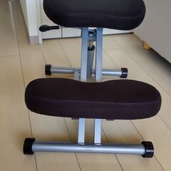 サンワサプライ バランスチェア 100-SNC038の画像