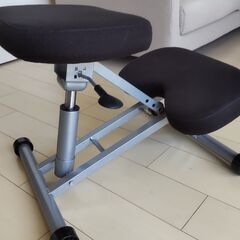 サンワサプライ バランスチェア 100-SNC038の画像