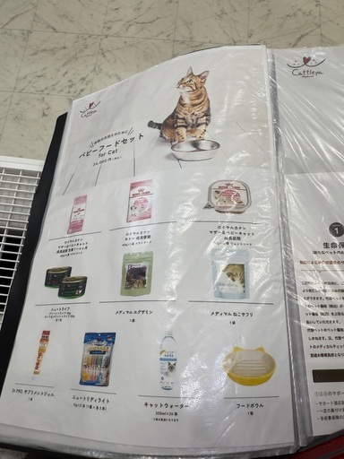 ねこちゃん用品1式と猫ちゃんのご飯とお水3ヶ月分