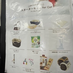 ねこちゃん用品1式と猫ちゃんのご飯とお水3ヶ月分の画像