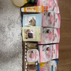 ねこちゃん用品1式と猫ちゃんのご飯とお水3ヶ月分の画像