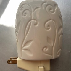 バラ飾り　コンセント差込ランプ　ホワイトの画像