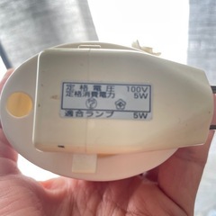 バラ飾り　コンセント差込ランプ　ホワイトの画像