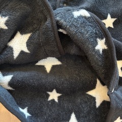 スリーパー130の画像