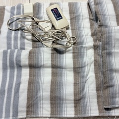 椙山紡織 Sugiyama 電気毛布 日本製 電気しき毛布 140×80cm 丸洗いOK 頭寒足熱 ダニ退治 室温センサー スライド式無段階温度調節 NA-023S ボーダー柄（裏面ホワイト）暖房 節電 省エネ 電気代安いの画像