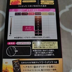 ブローネ泡カラー （ダークブラウン６番）未開封の画像